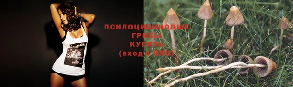 альфа пвп VHQ Богданович